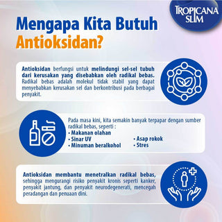 Twin Pack - Tropicana Slim Beras Porang Instant Golden Ube Supermix 7 sch – Konjac Rice Shirataki