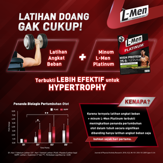L-Men Platinum Refill Pack Matcha 800g / 1,7lbs - High Quality Protein 25g/Serving - 21 serving - Consist of 6,9g BCAA and L-Carnitine